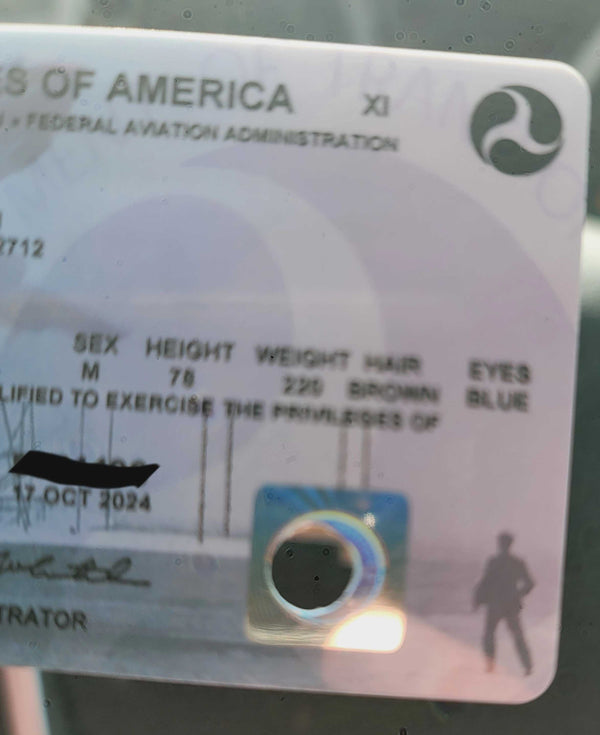 Rebel Talk: Hole Punch