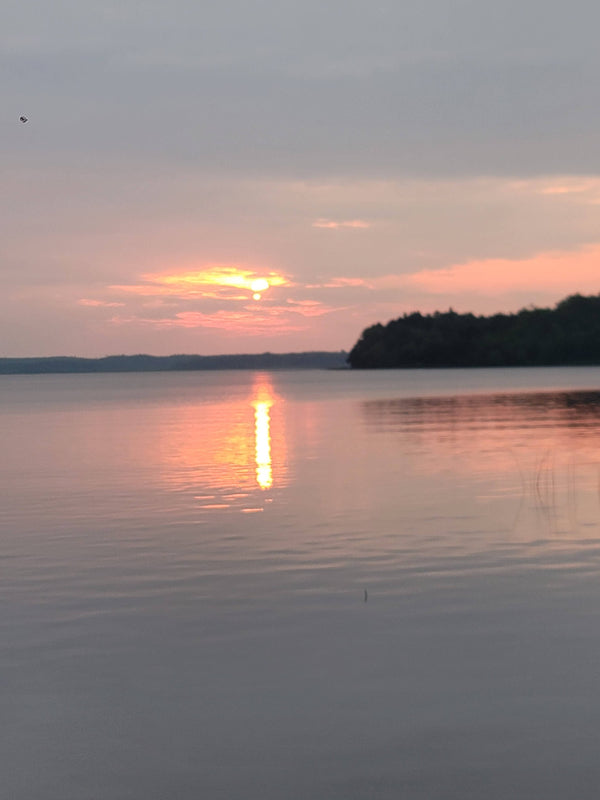 Rebel Talk: Alterations (Part Deux)