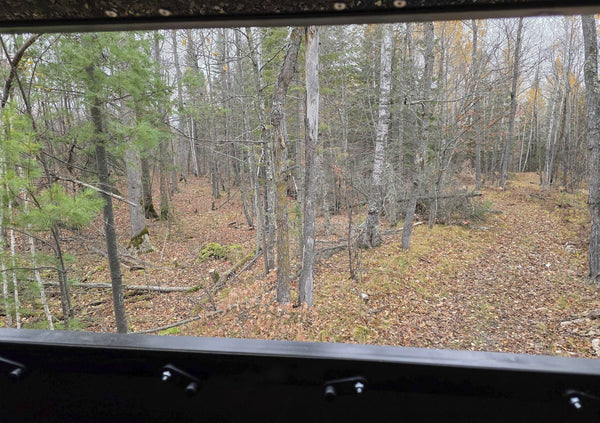 Rebel Talk: The Things We Take for Granted