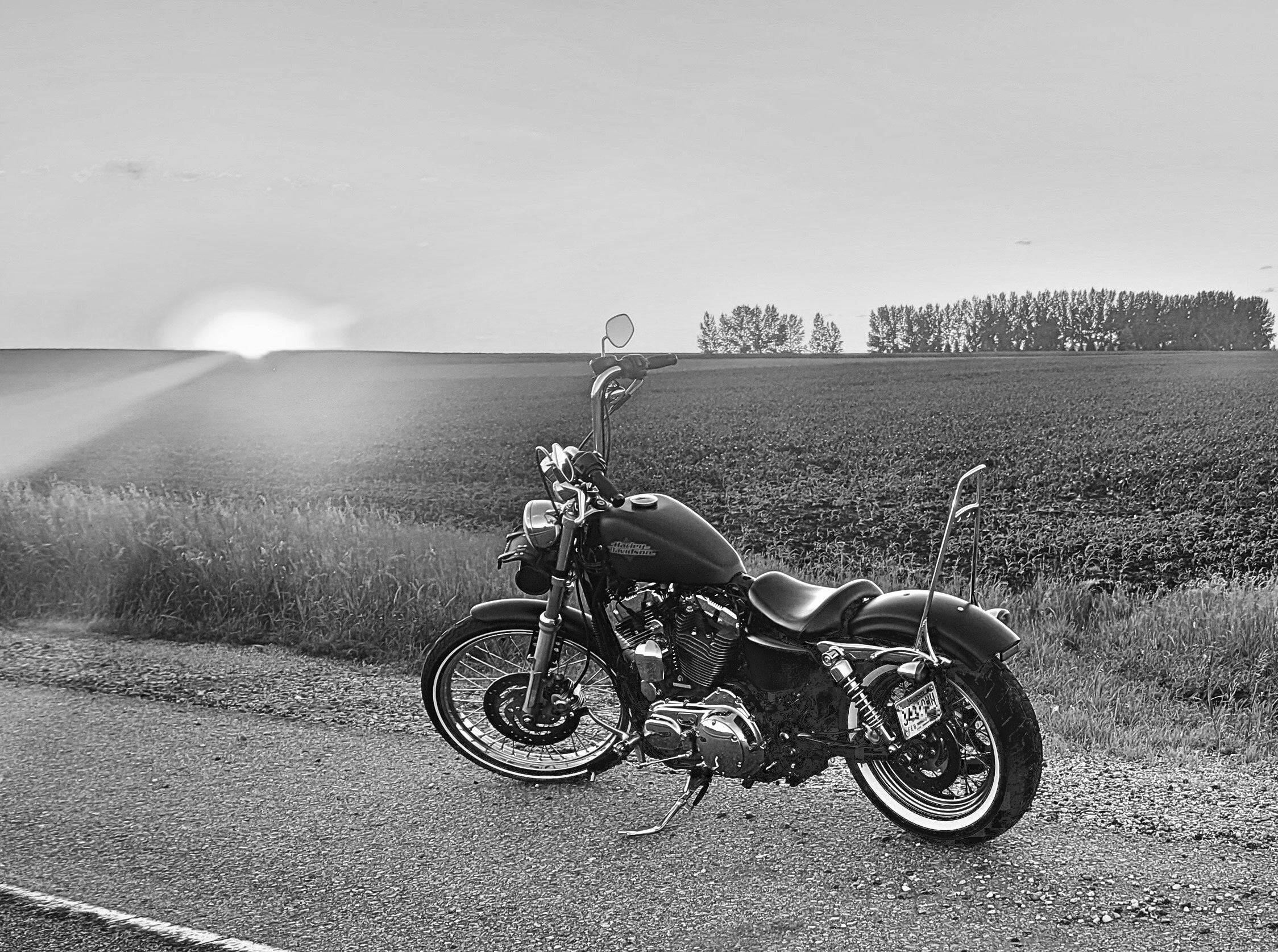 Harley Motorcycle on the side of the road