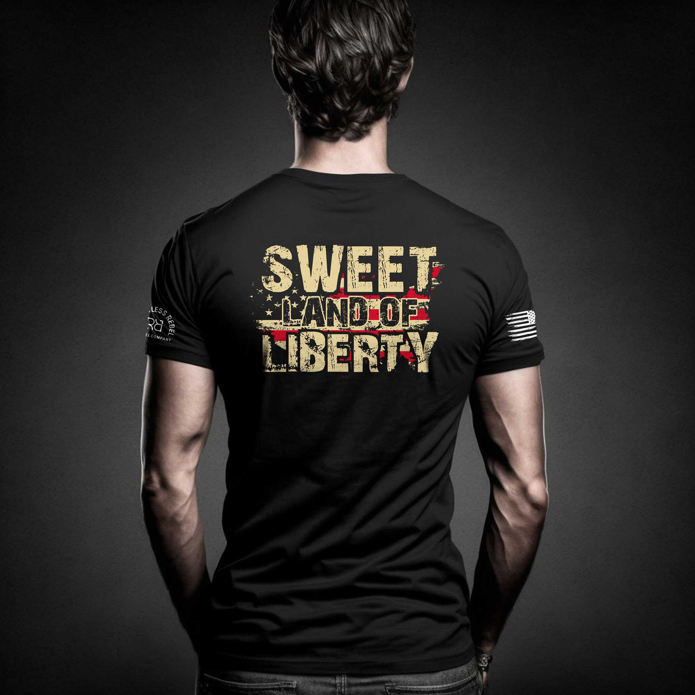 Solid Black Sweet Land of Liberty - Premium Men's Tee